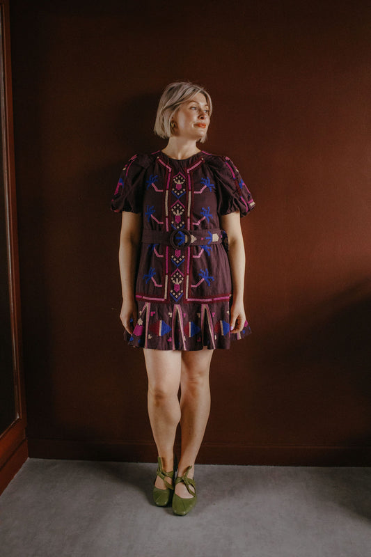 Farm Rio Chocolate Brown Embroidered Mini Dress