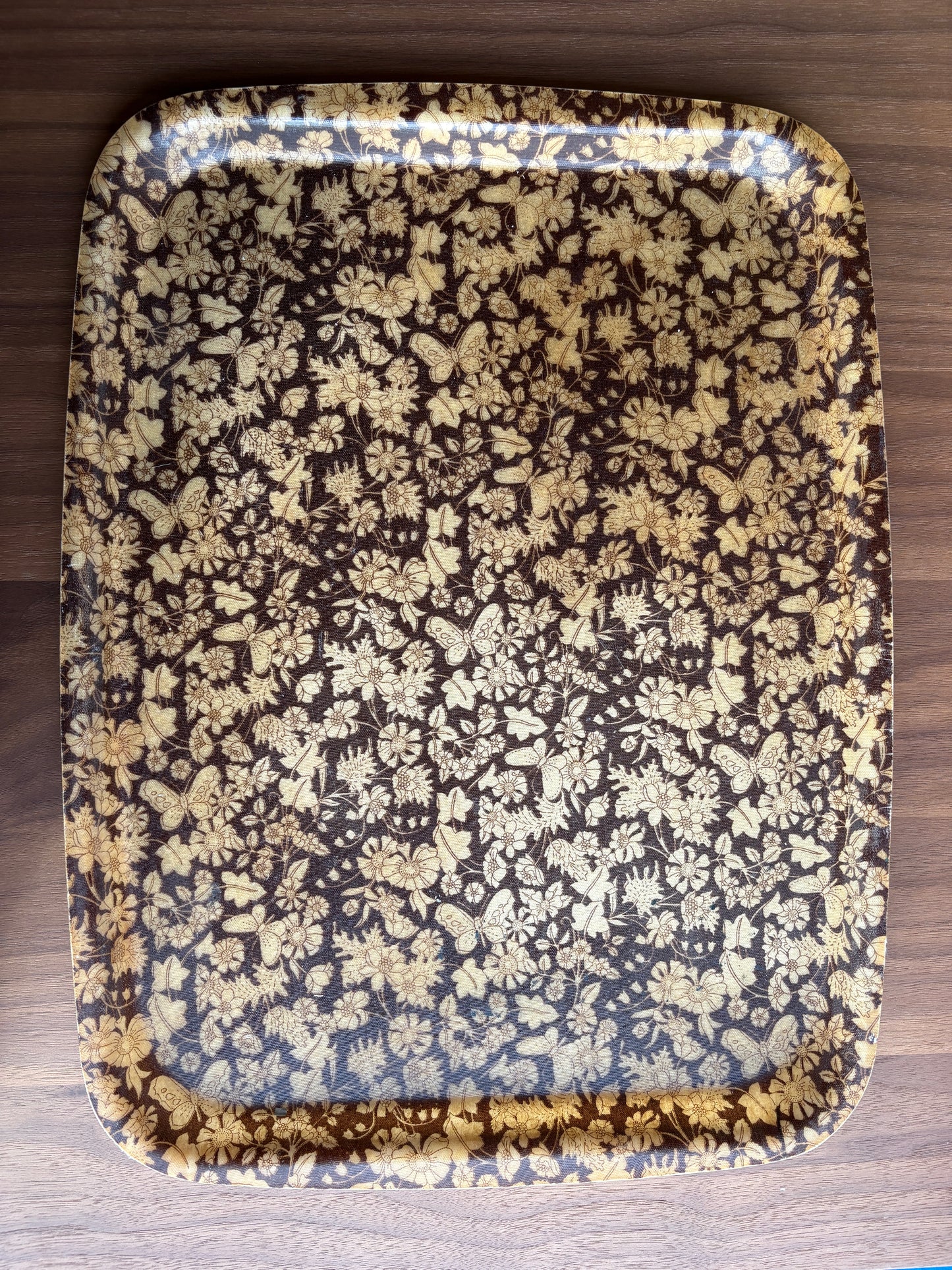 Vintage Resin Nature Print Tray
