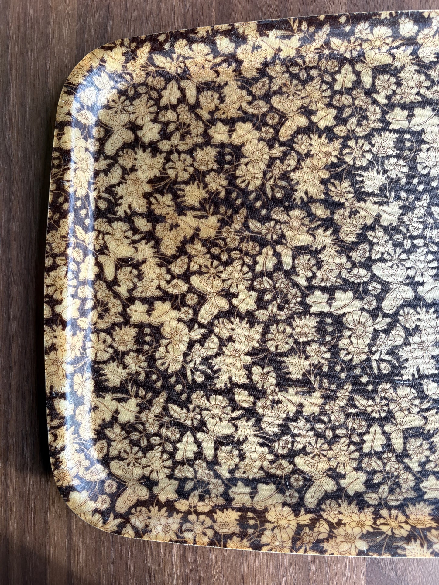 Vintage Resin Nature Print Tray